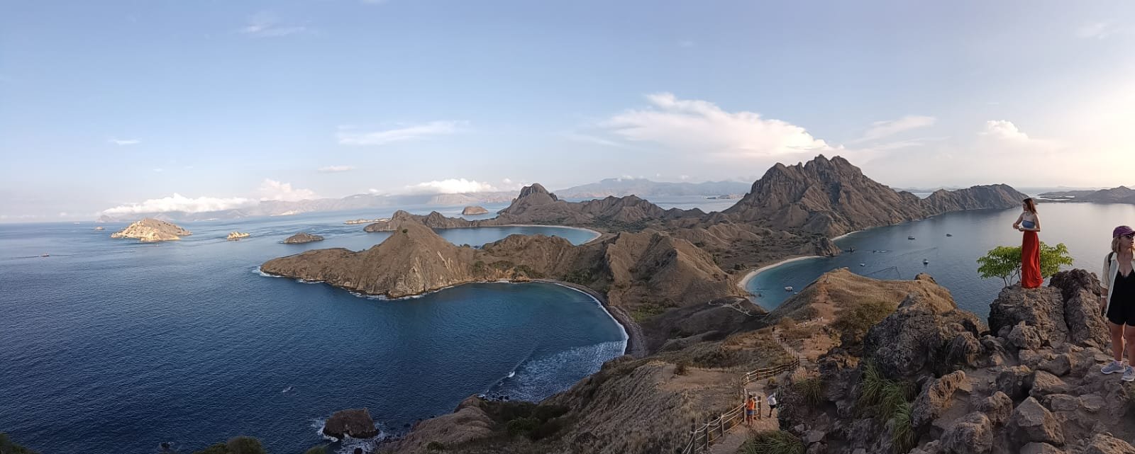 Komodo-Drache Flores
